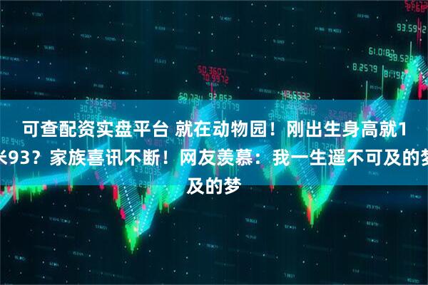可查配资实盘平台 就在动物园！刚出生身高就1米93？家族喜讯不断！网友羡慕：我一生遥不可及的梦